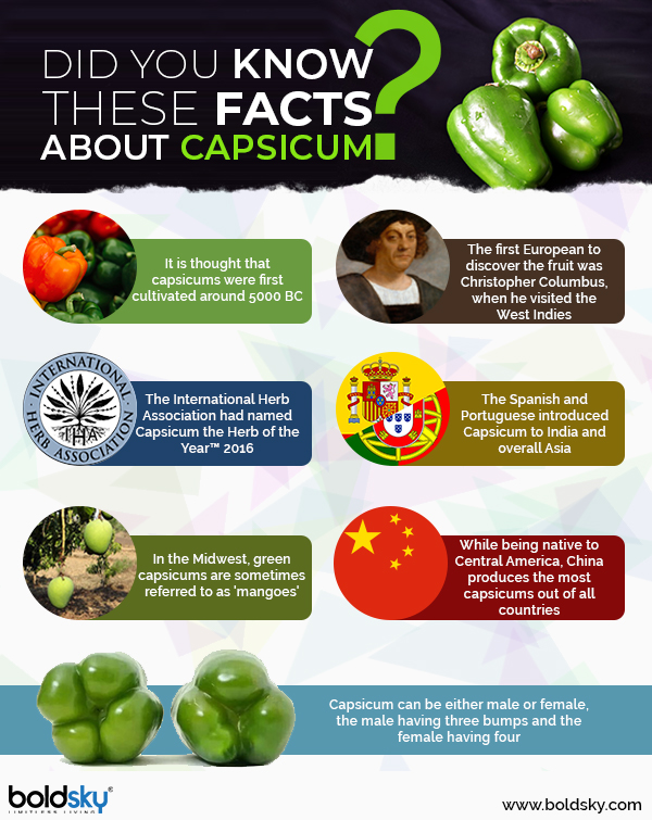 From Heart Health To Immunity, Here Are 7 Health Benefits Of Capsicum