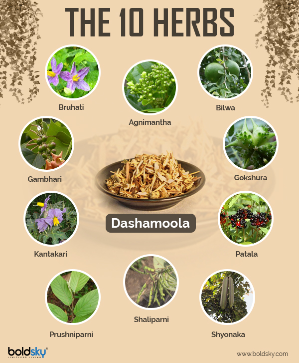 7 Health Benefits Dashamoola - Boldsky.com