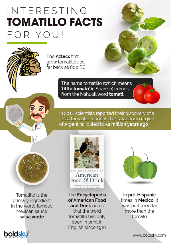 6 Lesser Known Health Benefits Of Tomatillos, Nutrition & Recipe