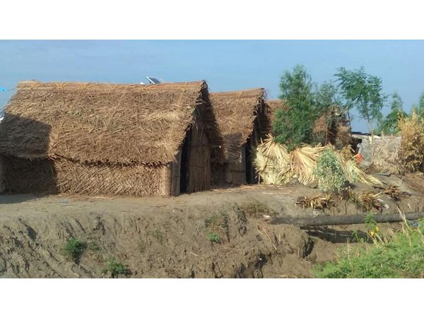 World Tribal Day 2019: A Conversation With Dr Arun Varghese, The ...