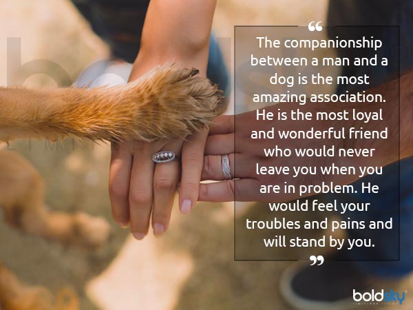 International Dog Day 2020: History And How To Celebrate This Day
