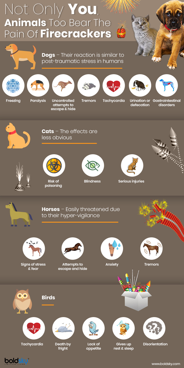 Cracker Fumes Can Cause Severe Respiratory Problems