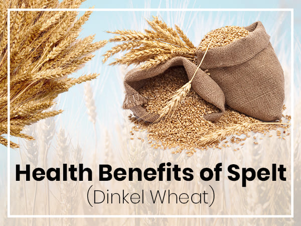 Health Benefits Of Spelt El Wheat