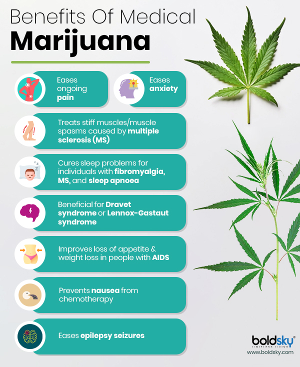 Marijuana May Not Be Effective In Treating Mental Health Problems, New