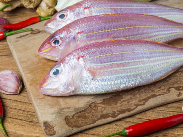 Ikan bream