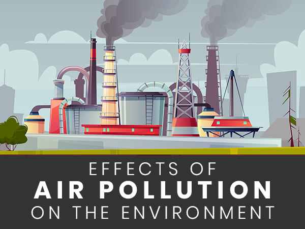 World Environment Day Harmful Effects Of Air Pollution On The Environment 247 News Around The World