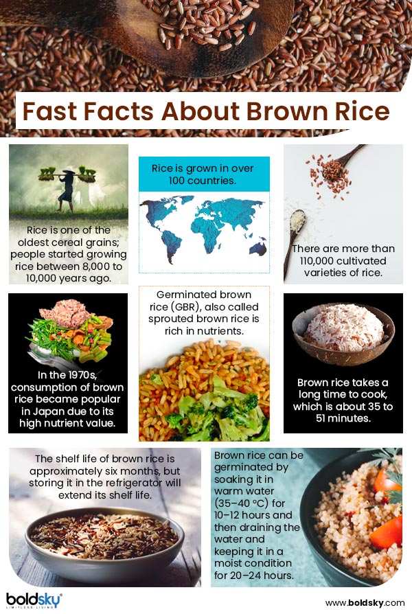 Brown Rice Nutrition, Health Benefits And Recipes