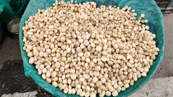 Types Of Edible Mushrooms Found In India With Their Health Benefits