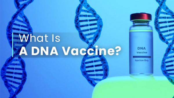 What Is A DNA Vaccine? How Is It Different From Other Vaccine Types