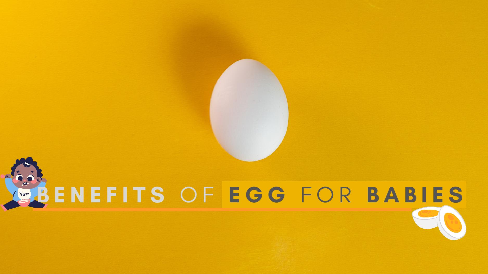Benefits Of Egg For Babies; What Is The Right Age To Include Eggs In A