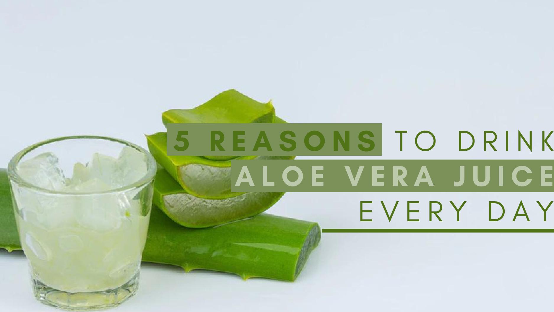 Reasons To Drink Aloe Vera Juice Every Day; Recipe And How To Extract