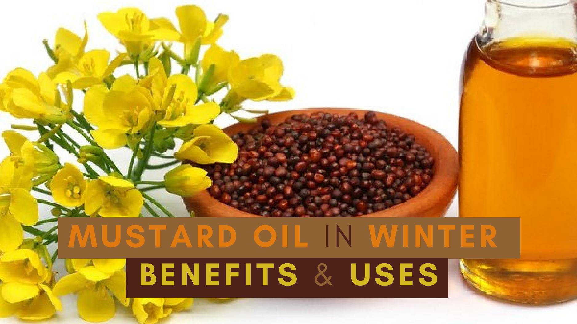 Benefits Of Mustard Oil In Winter And How To Use It?