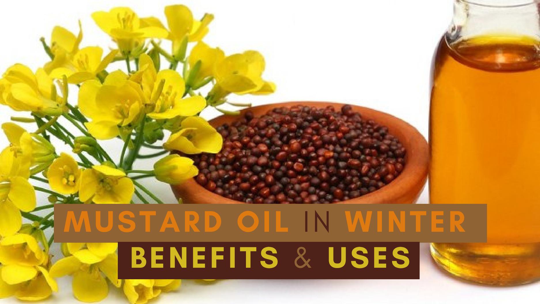 Benefits Of Mustard Oil In Winter And How To Use It? 