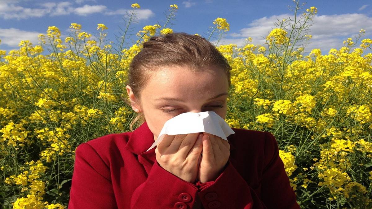 How To Manage Seasonal Allergies During Summer And Prevent Flareups