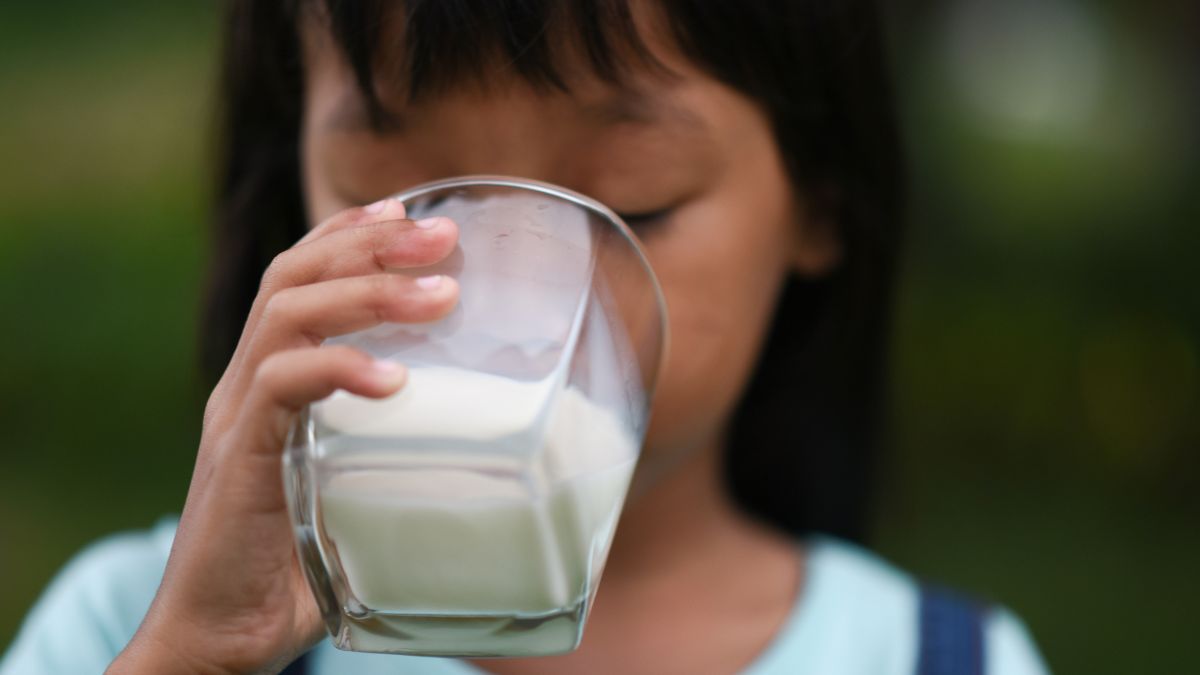 Why Does Milk Make You Sleepy?