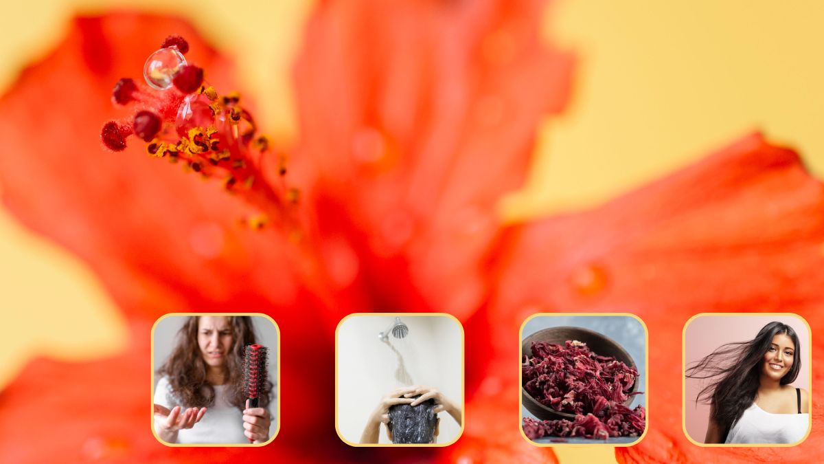Hibiscus For Shiny & Strong Hair: Try This 15-Day Haircare Routine ...