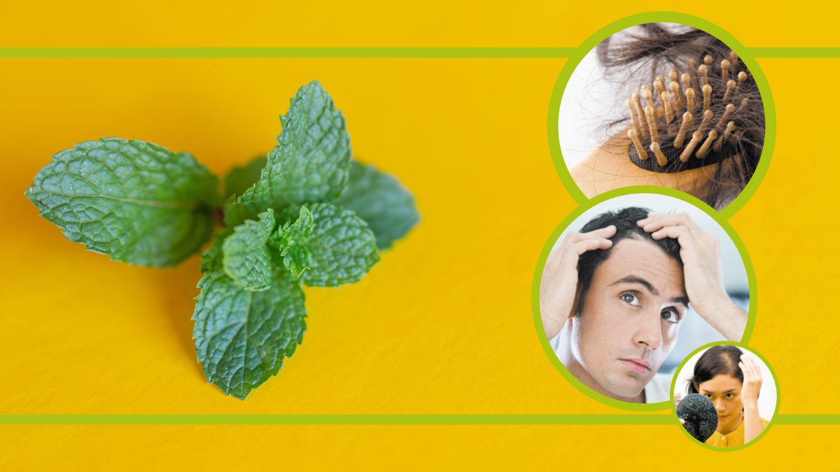 Mint hair pack to cool your scalp and control hair fall in summer