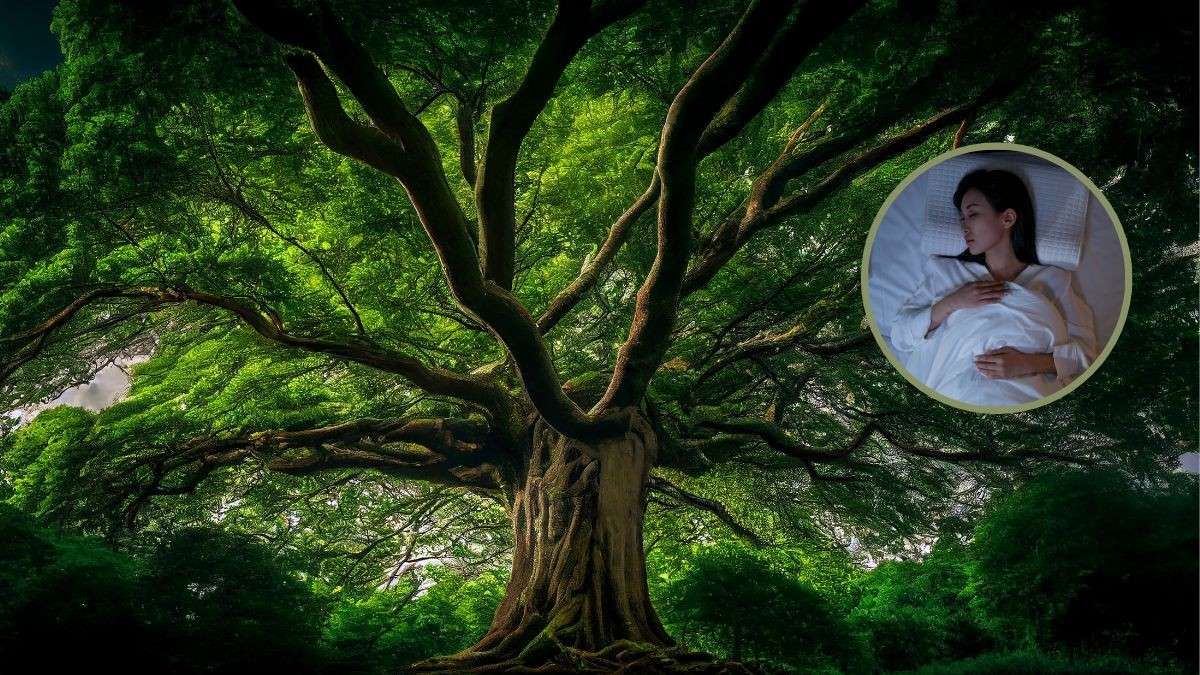 Peepal Tree Images peepal-tree-images
