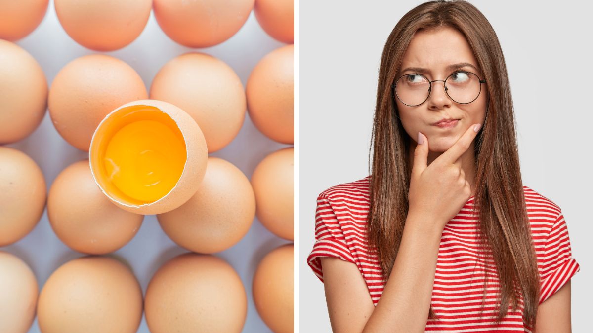 How To Get Rid Of Egg Smell From Hair After An Egg Hair Pack Session