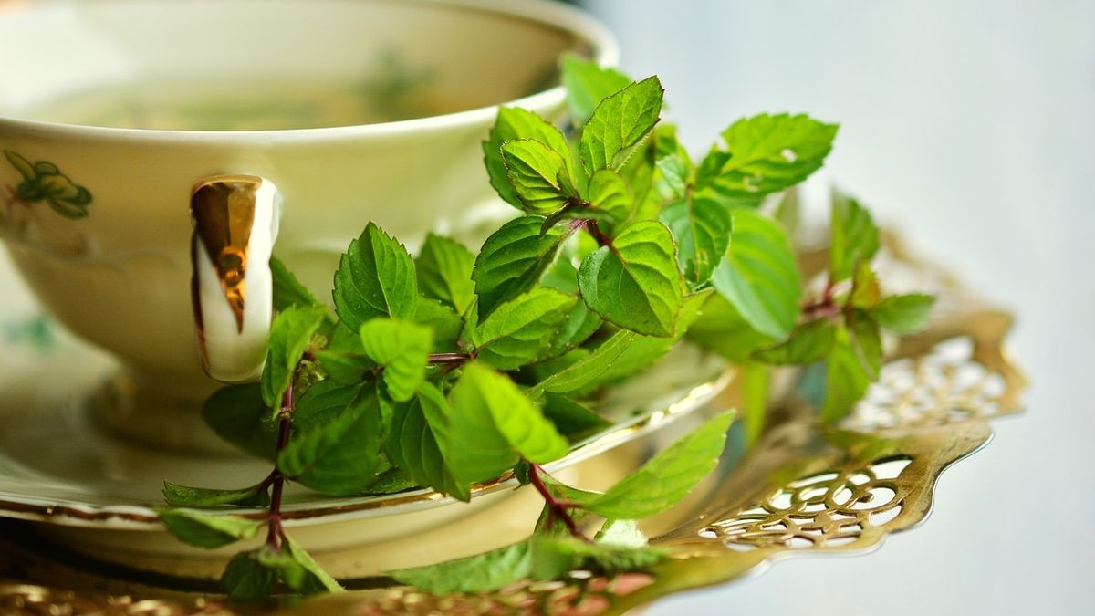 Discover the Health Benefits of Indian Herbal Teas - Boldsky.com