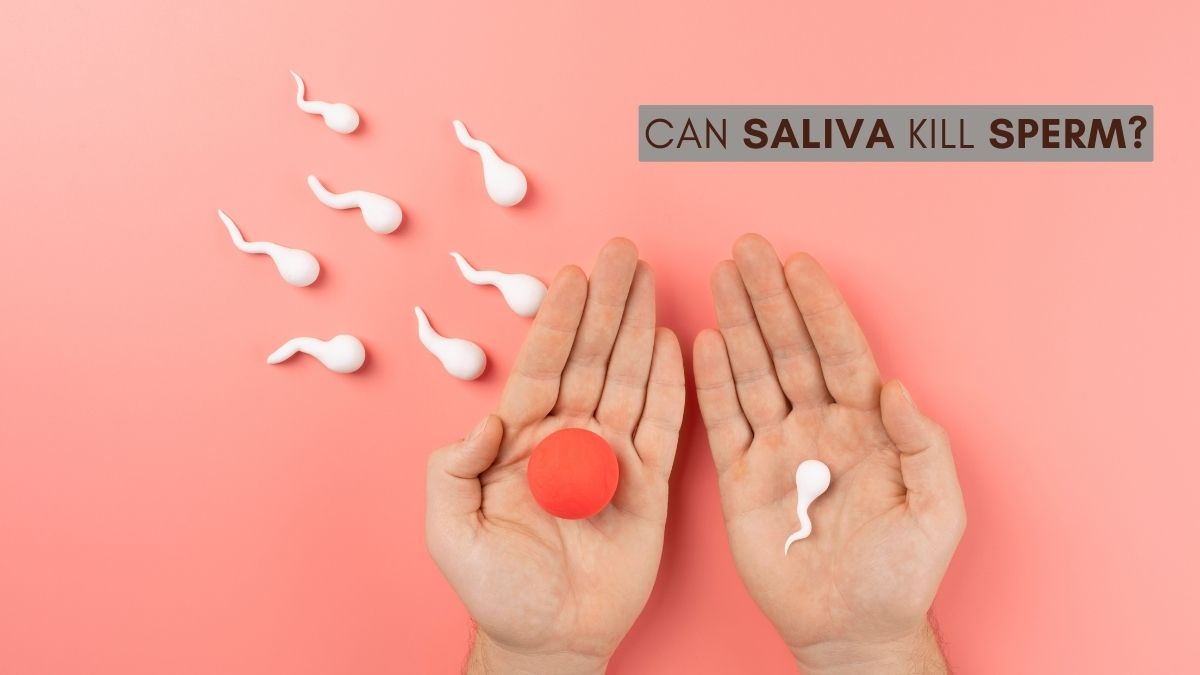 Myths vs Facts Can Saliva Kill Sperm If You Are Trying To Get Pregnant