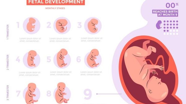 What Are The Risks Of Terminating A Pregnancy At An Advanced Stage ...