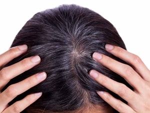 Page 116 Hair Care Natural Hair Care Hair Care Tips Natural
