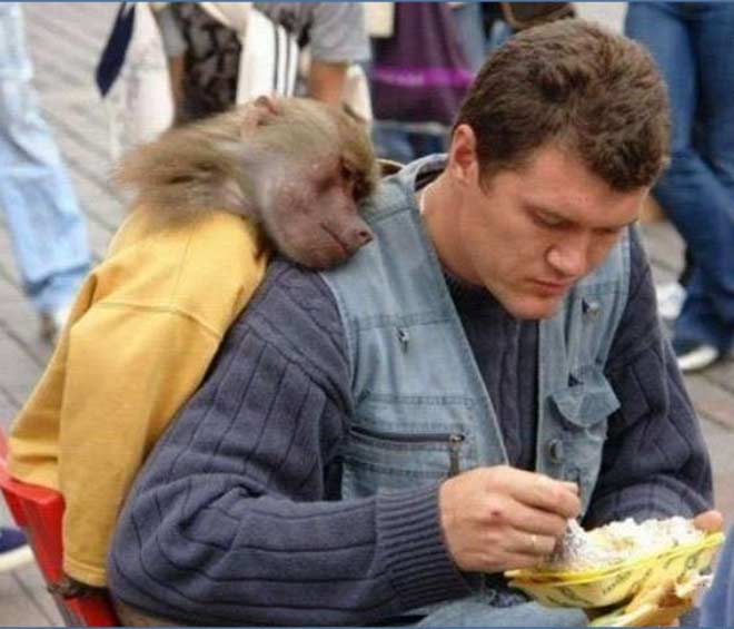 Pictures That Depict The bond of Love between Humans and animals Boldsky